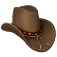 Cowboy Hat