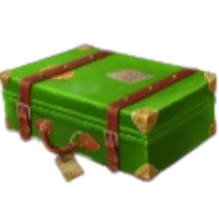 Green Cash Case