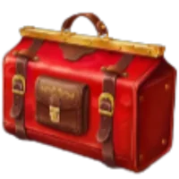 Red Travel Bag